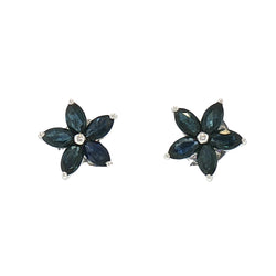 JE0357K - Blue Sapphire Earrings Set in 14K White Gold Setting