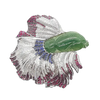 JP0172R - Carved Jade, Sapphire, Ruby and Diamond Siamese Fighting Fish Brooch in 18K White Gold