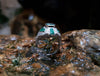 SJ2571 - Emerald with Diamond Ring Set in 18 Karat White Gold Settings
