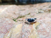 SJ2226 - Blue Sapphire Ring Set in 18 Karat White Gold Settings