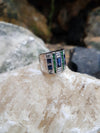 SJ1749 - Blue Sapphire, Tsavorite with Diamond Ring Set in 18 Karat White Gold Settings