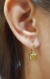 SJ6170 - Yellow Sapphire Earrings Set in 18 Karat Gold Settings