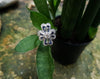 SJ1846 - Diamond with Blue Sapphire Ring Set in 18 Karat White Gold Settings