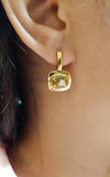 SJ1794 - Yellow Sapphire Earrings Set in 18 Karat Gold Settings