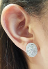 SJ1397 - Diamond Earrings Set in 18 Karat White Gold Settings