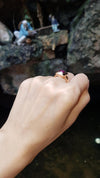 SJ1787 - Star Ruby Ring Set in 18 Karat Rose Gold Settings