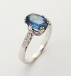 SJ2893 - Blue Sapphire with Ruby and Diamond Ring Set in 18 Karat White Gold Settings