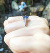 SJ2893 - Blue Sapphire with Ruby and Diamond Ring Set in 18 Karat White Gold Settings