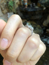 SJ1846 - Diamond with Blue Sapphire Ring Set in 18 Karat White Gold Settings