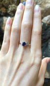 SJ1935 - Blue Sapphire with Diamond Ring Set in 18 Karat White Gold Settings