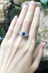 SJ1212 - Blue Sapphire with Diamond Ring Set in 18 Karat White Gold Settings