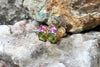 SJ1906 - Pink Sapphire and Peridot with Diamond Earrings Set in 18 Karat Gold Settings