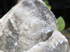 SJ1969 - Diamond Ring Set in 18 Karat White Gold Settings
