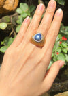 SJ2067 - Blue Star Sapphire with Diamond Ring Set in 18 Karat Gold Settings