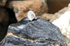 SJ1227 - Diamond Heart Ring Set in 18 Karat White Gold Settings