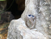 SJ1469 - Blue Sapphire with Diamond Ring Set in 18 Karat White Gold Settings
