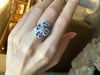 SJ1846 - Diamond with Blue Sapphire Ring Set in 18 Karat White Gold Settings