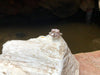 SJ1206 - Morganite with Diamond Ring Set in 18 Karat White Gold Settings