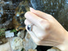 SJ6086 - Blue Sapphire with Diamond Ring Set in 18 Karat White Gold Settings