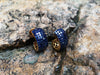 SJ2010 - Blue Sapphire Earrings Set in 18 Karat Gold Settings