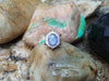 SJ1855 - Blue Star Sapphire with Diamond and Black Diamond Ring in 18 Karat White Gold