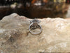 SJ1855 - Blue Star Sapphire with Diamond and Black Diamond Ring in 18 Karat White Gold
