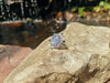 SJ1855 - Blue Star Sapphire with Diamond and Black Diamond Ring in 18 Karat White Gold