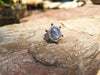 SJ1855 - Blue Star Sapphire with Diamond and Black Diamond Ring in 18 Karat White Gold