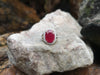 SJ1874 - Ruby with Diamond Ring Set in 18 Karat Gold Settings