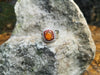 SJ6299 - Fire Opal with Orange Sapphire and Diamond Ring Set in 18 Karat White Gold
