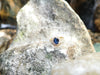 SJ2086 - Blue Sapphire with Diamond Ring Set in 18 Karat Gold Settings