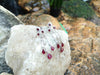 SJ6151 - Ruby with Diamond Earrings Set in 18 Karat White Gold Settings