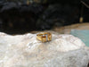 SJ6230 - Citrine with Diamond Ring Set in 18 Karat Gold Settings