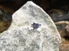 SJ6235 - Tanzanite Ring Set in 18 Karat White Gold Settings
