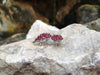 SJ2110 - Cabochon Ruby with Tsavorite, Ruby and Diamond Earrings in 18 Karat White Gold