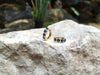 SJ2166 - Blue Sapphire with Diamond Huggies/Hoop Earrings Set in 18 Karat Gold Settings