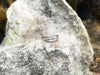 SJ2313 - White Sapphire Ring Set in 18 Karat White Gold Settings