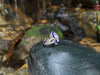 SJ2189 - Lapis Lazuli, Quartz, Diamond Ring Set in 18 Karat White Gold Settings