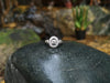SJ2046 - Diamond Ring Set in 18 Karat White Gold Settings
