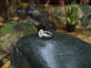 SJ2046 - Diamond Ring Set in 18 Karat White Gold Settings