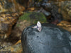 SJ6245 - Diamond with Blue Sapphire Ring Set in 18 Karat White Gold Settings