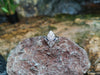 SJ6245 - Diamond with Blue Sapphire Ring Set in 18 Karat White Gold Settings