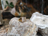 SJ2146 - White Sapphire Ring Set in 18 Karat Gold Settings