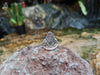 SJ2116 - Diamond Ring Set in 18 Karat White Gold Settings