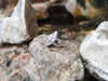 SJ2116 - Diamond Ring Set in 18 Karat White Gold Settings