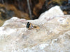 SJ2126 - Blue Sapphire with Diamond Ring Set in 18 Karat Gold Settings