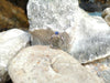 SJ1826 - Blue Sapphire with Diamond Ring Set in 18 Karat White Gold Settings
