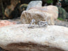 SJ6218 - Diamond Earrings Set in 18 Karat White Gold Settings