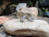 SJ6137 - Diamond Earrings Set in 18 Karat White Gold Settings