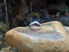 SJ6085 - Blue Sapphire with Diamond Ring Set in 18 Karat White Gold Settings